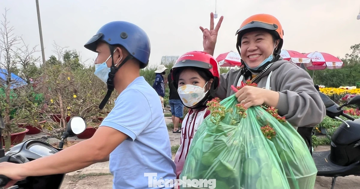 Giá rẻ khó tin: Hoa Tết chỉ 20.000 đồng/chậu ở TPHCM