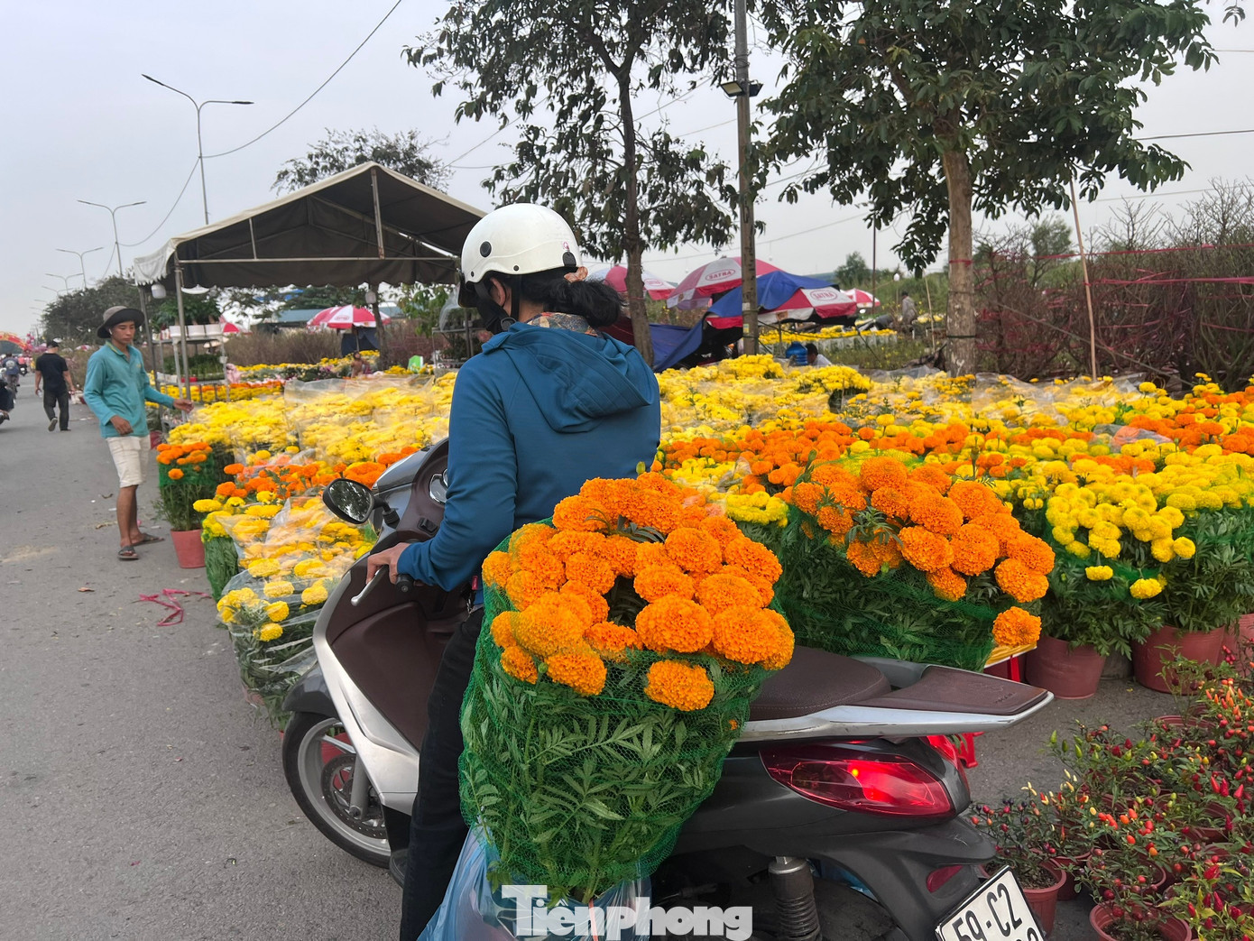 tp-binh-dien-uyen-phuong-12.jpg