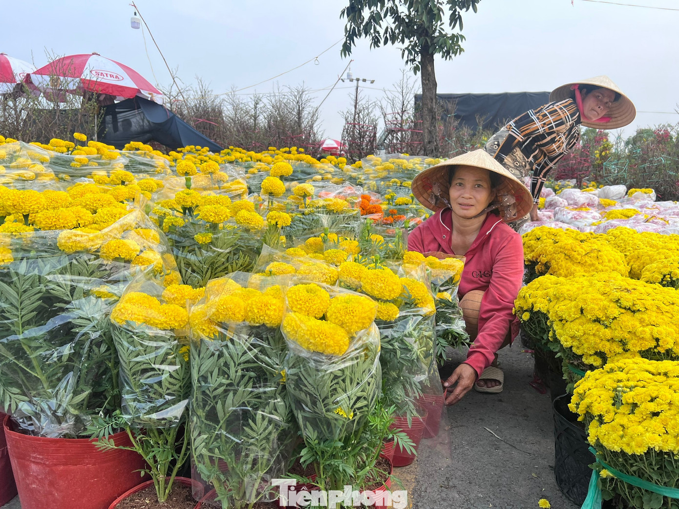 tp-binh-dien-uyen-phuong-31.jpg