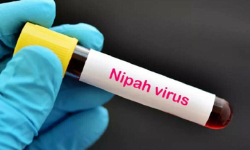 Chính thức: Bộ Y tế ban hành phác đồ điều trị virus Nipah