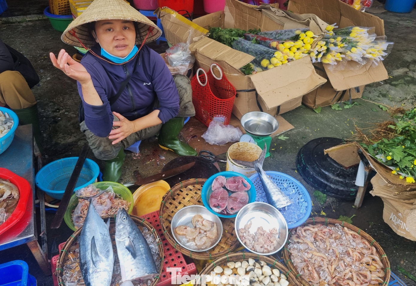 Tại các chợ, người dân cũng tìm mỏi mắt mới thấy cá thu. Các tiểu thương cho hay phải tranh giành từ sớm họ mới có cá để bán lẻ. Cá thu nguyên con được bán khoảng 400.000 đồng/kg, cá cắt lát bán 450.000 đồng/kg. tp-cathudn-6.jpg