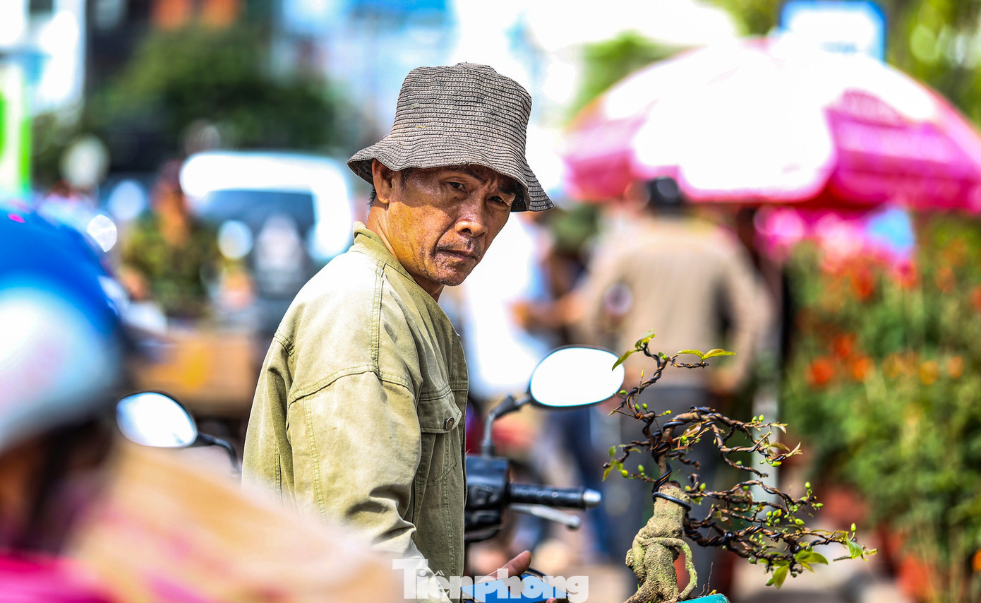 Tại một góc đường Nguyễn Tất Thành, ông Hoàng Tân (50 tuổi, phường An Nhơn Đông) đứng trông những chậu mai vàng . Ông cho biết đã thuê mặt bằng với giá 6 triệu đồng, đưa mai xuống bãi bán được 3 ngày nhưng chỉ mới bán được vài cây. tp-c_img-5000.jpg
