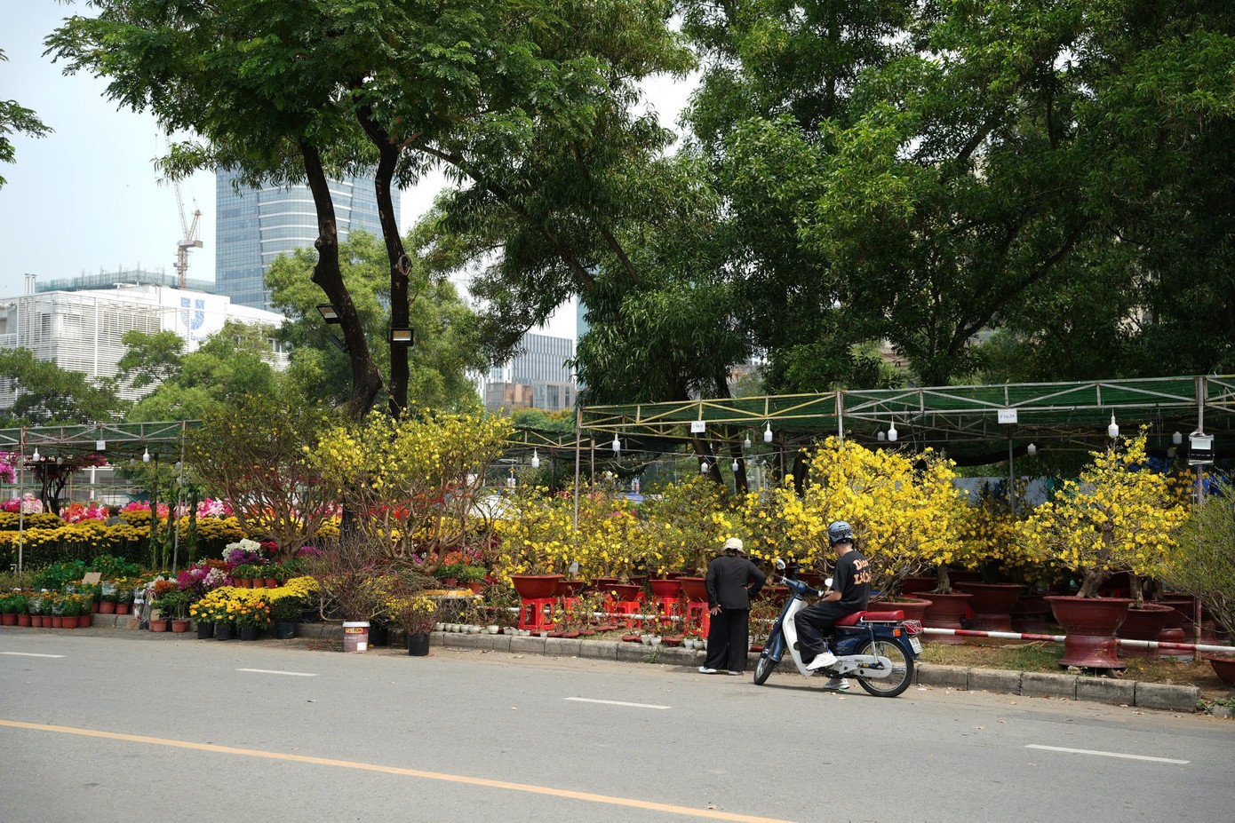 Hoa Tết tràn ngập mọi nẻo đường ở TPHCM. z7536277390171-d77b593205515a1caf4e6e3cc1e3d8d1.jpg