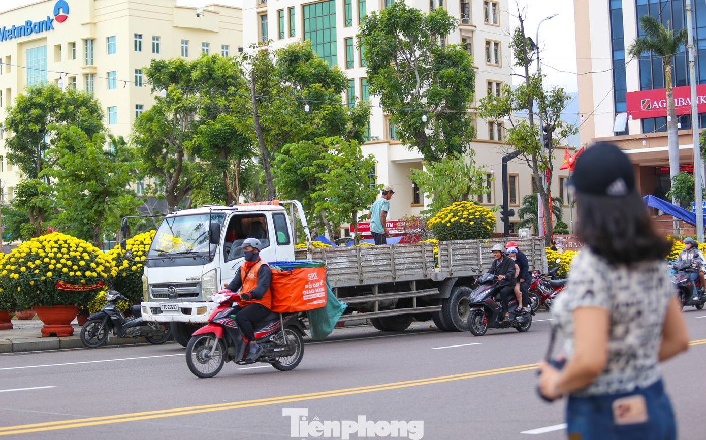 tp-c_img-5059.jpg