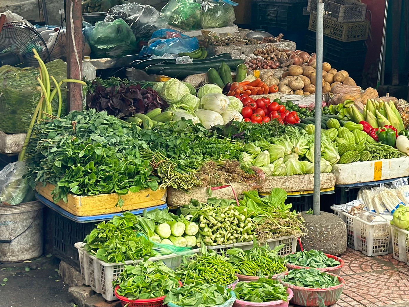 Rau xanh giữ giá ổn định, lượng hàng về chợ đầu mối sụt giảm do nhiều sạp đã nghỉ Tết. img-3751.jpg