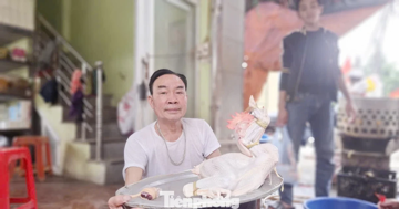 29 Tết, ngày 'hái ra tiền' của nghề thịt gà thuê