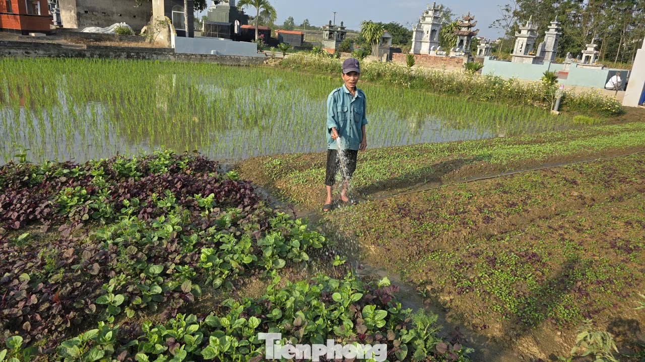 tp-10-3052.jpg