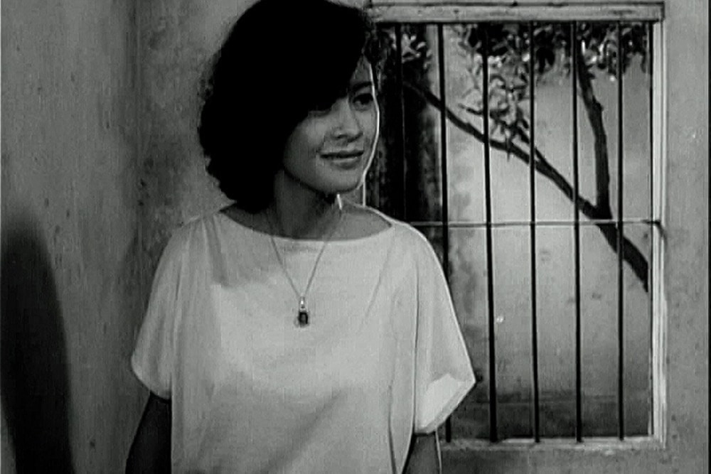 hc1(1).jpg