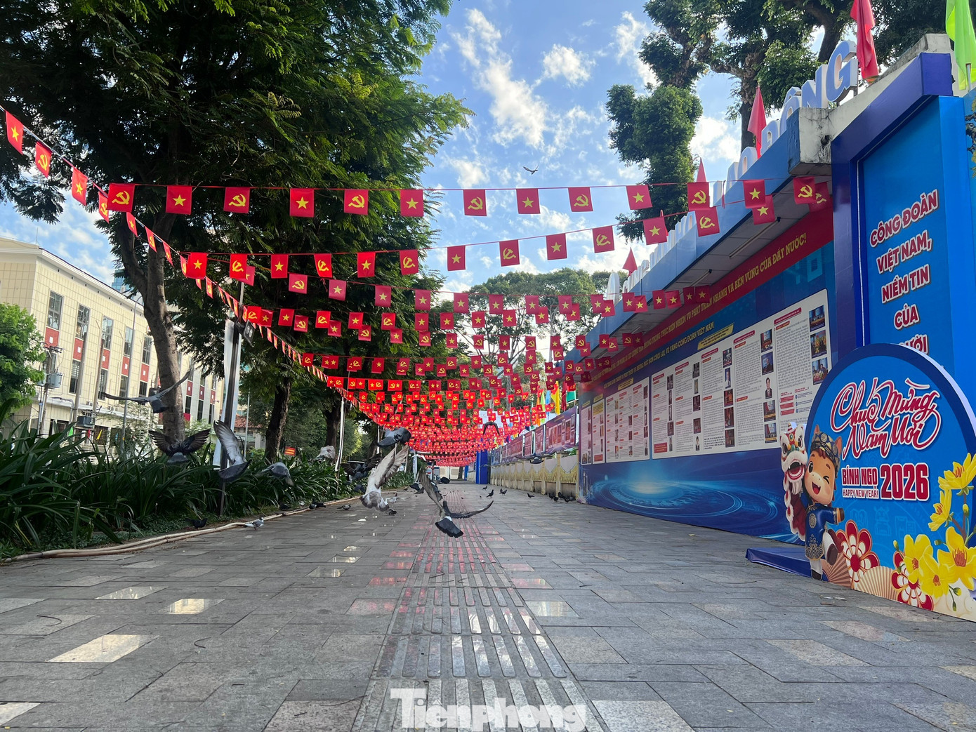 Những chú chim bồ câu trên vỉa hè tạo nên một khung cảnh thanh bình tp-duong-pho-uyen-phuong-4.jpg