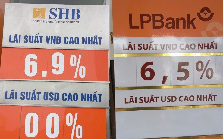 ls2.jpg
