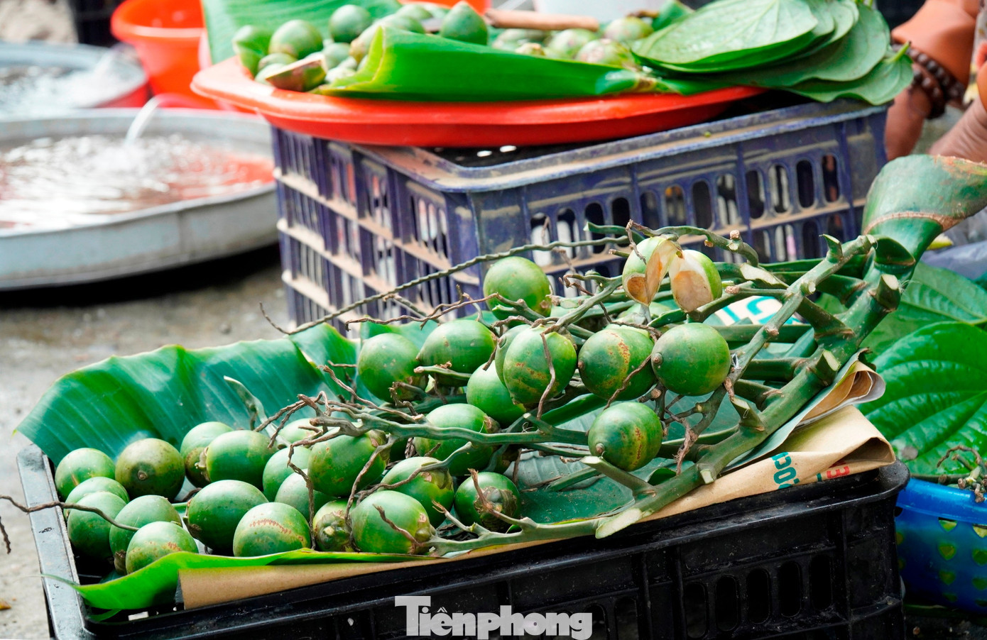 Trầu cau truyền thống của xứ Huế là một trong những mặt hàng không thể thiếu tại phiên chợ. Bên cạnh đó là những sản phẩm phục vụ nhu cầu hàng ngày như rau, củ, thịt, cá, đậu phụ, mắm, chè Huế… cùng các thổ sản địa phương được tổ chức thành 30 gian hàng bố trí gần đường Gia Lạc và Nguyễn Đình Tứ (phường Mỹ Thượng). tp-7-cho-tet-gia-lac-2.jpg