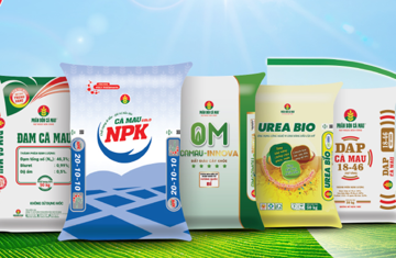 Đạm Cà Mau (DCM): Khi cổ phiếu phân bón bước ra khỏi cái bóng của giá ure