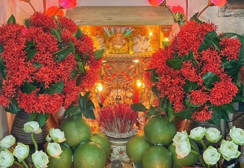 hoa mẫu odwn