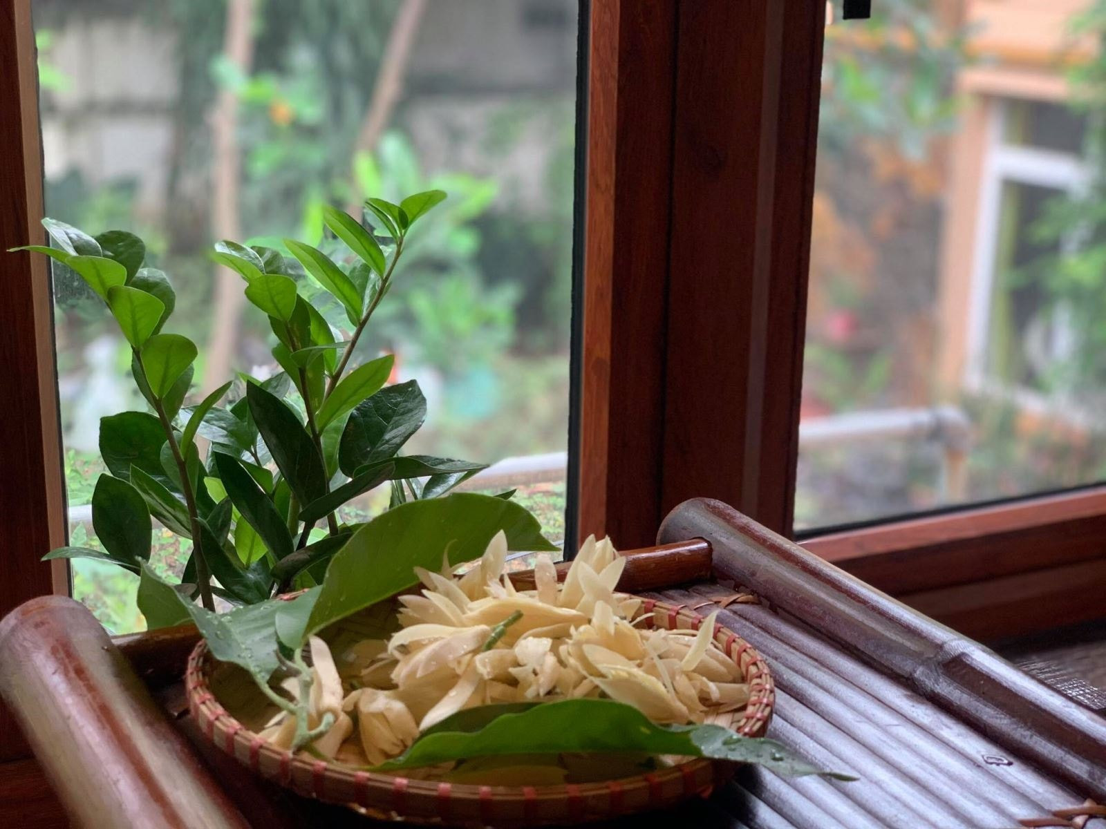 hoa ngọc lan