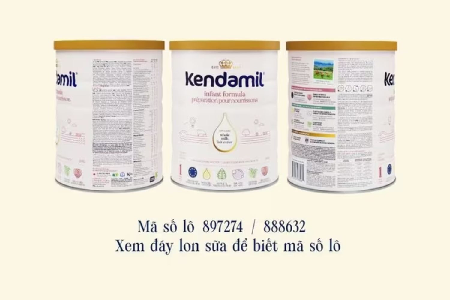 kendamil-bi-thu-hoi.jpg