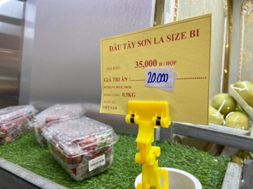 Dâu tây vào chính vụ rớt giá chỉ từ 40.000 đồng/kg, tiểu thương bán vài tạ mỗi ngày vẫn cháy hàng