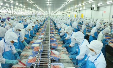 Xuất khẩu sang Mỹ, Trung Quốc khởi sắc, Vĩnh Hoàn báo doanh thu tăng vọt trong tháng đầu năm
