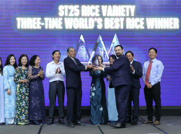 Gạo Việt Nam nhận cúp 'Gạo ngon nhất thế giới' lần thứ 3