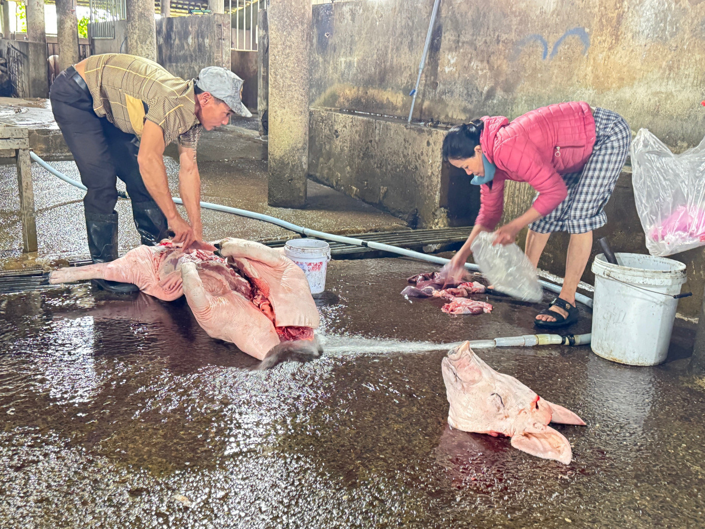 Phần lớn thịt lợn bán ra thị trường không được thú y kiểm soát. img-5336.jpg