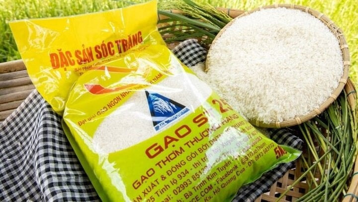gao-st25-duoc-trao-giai-gao-ngon-nhat-the-gioi-14465978-17014045071441696505266.jpg