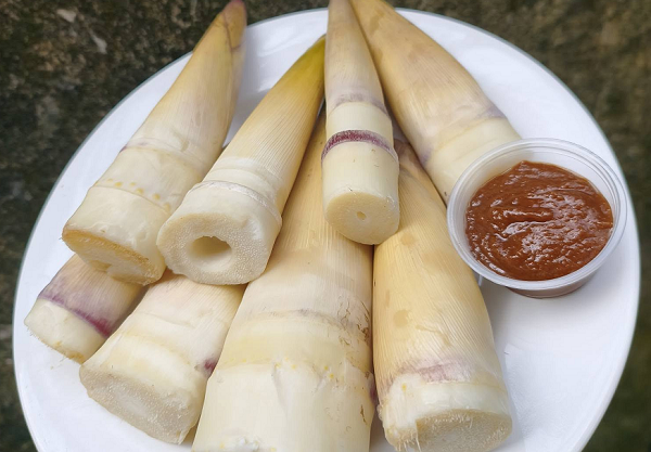 mang-vau-tay-bac.png