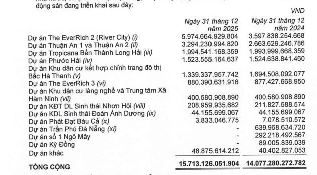 Lợi nhuận Phát Đạt (<a style='text-decoration: none;' href='/PDR'>PDR</a>) tăng đột biến: Tiền đến từ đâu khi doanh thu vẫn ì ạch?- Ảnh 3. Lợi nhuận Phát Đạt (<a style='text-decoration: none;' href='/PDR'>PDR</a>) tăng đột biến: Tiền đến từ đâu khi doanh thu vẫn ì ạch?- Ảnh 3.