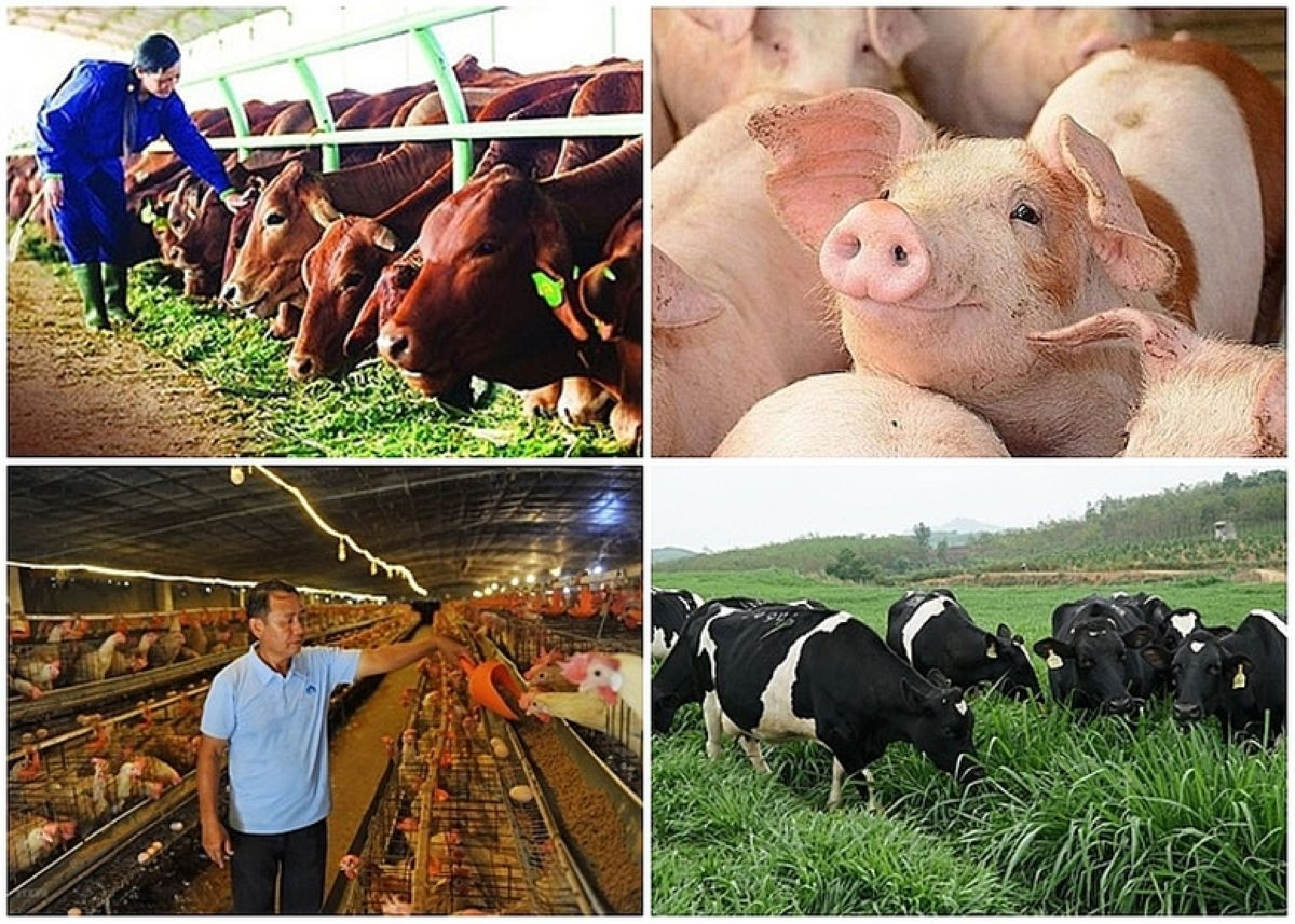 Chỉ đạo, điều hành của Chính phủ, Thủ tướng Chính phủ nổi bật tháng 1/2026- Ảnh 3. Chỉ đạo, điều hành của Chính phủ, Thủ tướng Chính phủ nổi bật tháng 1/2026- Ảnh 3.