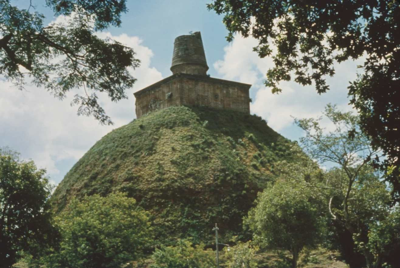 baothap3.jpg