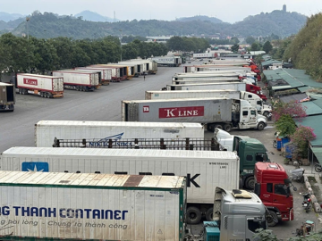 Tạm dừng áp dụng Nghị định 46 về an toàn thực phẩm đến giữa tháng 4