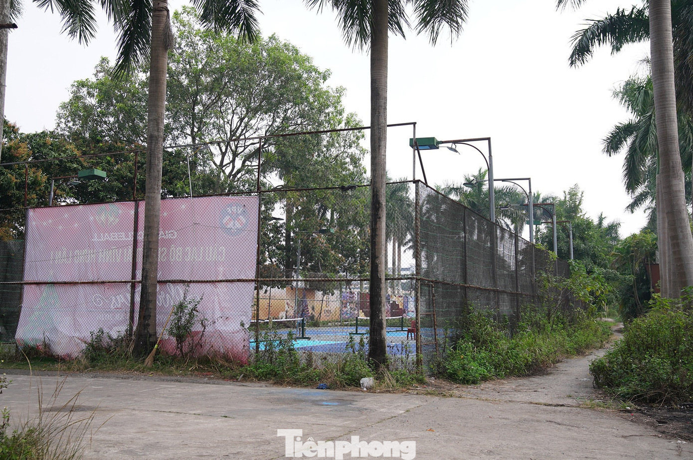 tp-08209.jpg