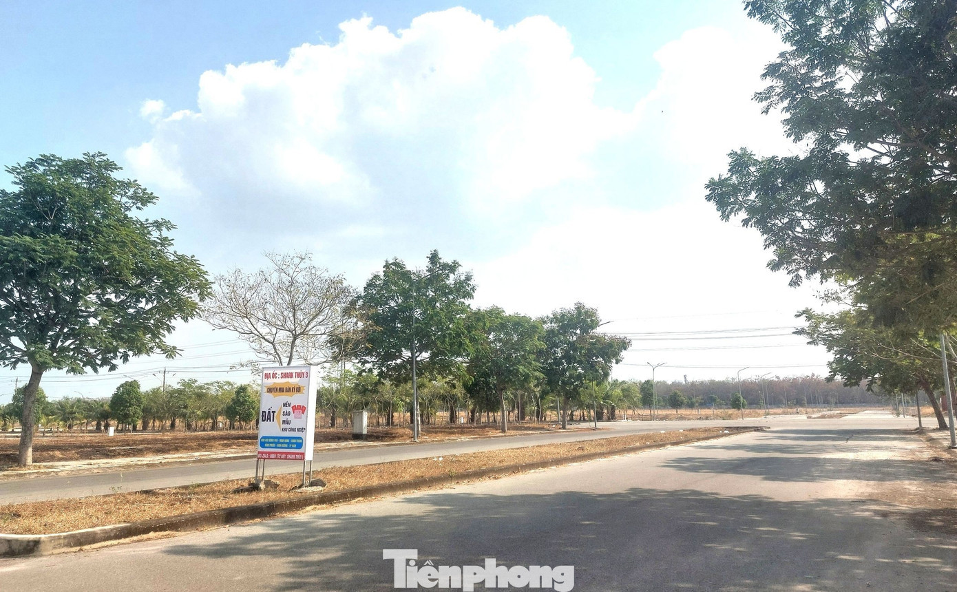 Ông Huỳnh Uy Dũng là người đứng ra ký với Chủ tịch HĐQT Công ty Vinasing Group Lê Minh Thơ. Theo hợp đồng, Ngân hàng Phương Đông (<a style='text-decoration: none;' href='/OCB'>OCB</a>) chi nhánh Bình Dương là trung gian thanh toán. tp-dai-nam-4.jpg