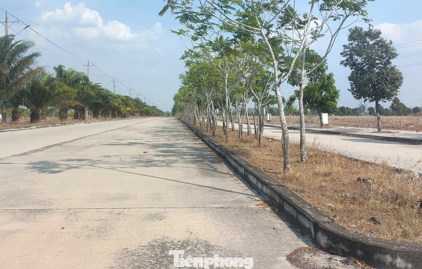 Vào thời điểm có pháp lý đầy đủ và được mở bán, giá bán mỗi lô đất tại khu dân cư này thấp nhất là 650 triệu đồng/nền. tp-dai-nam-10.jpg