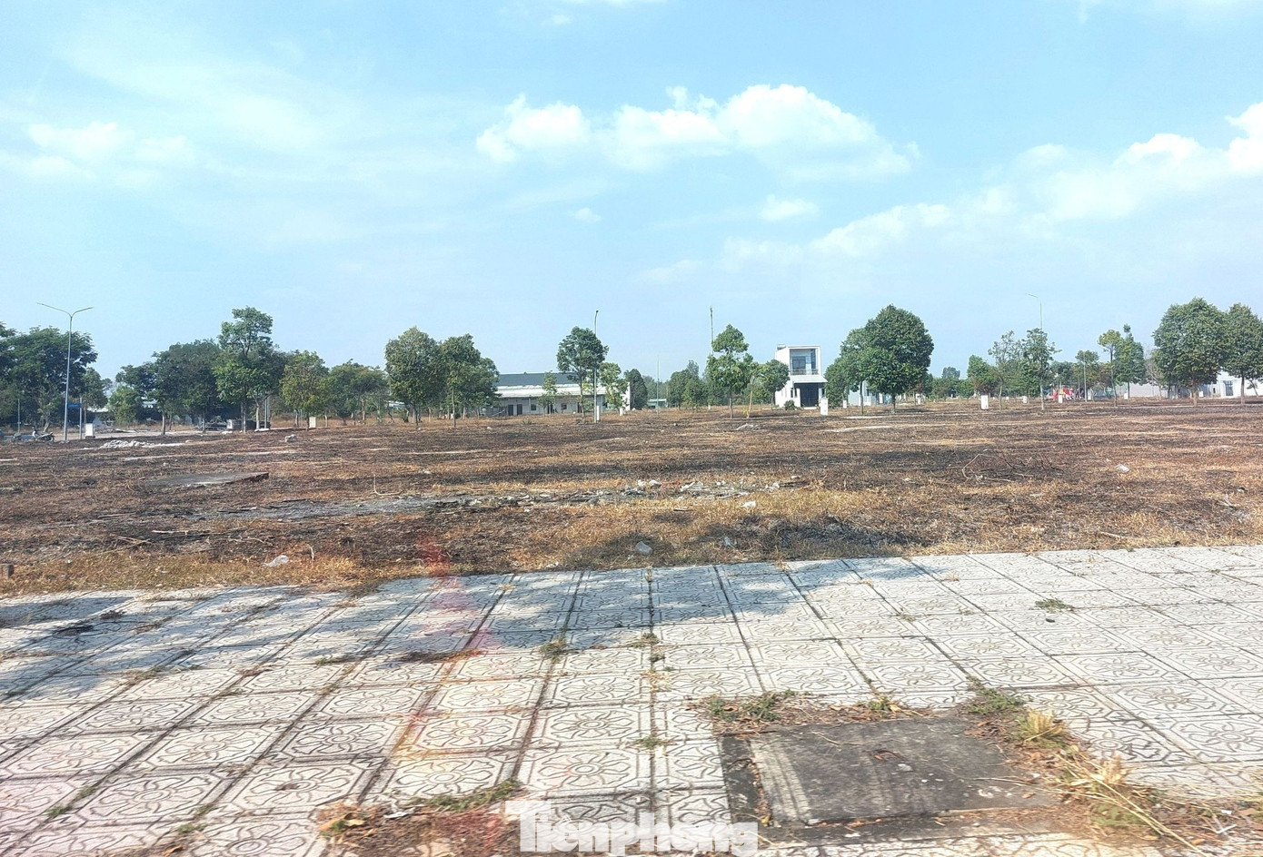 Tháng 5/2022, Công ty Tân Khai ký hợp đồng ghi nhớ với Công ty cổ phần Vinasing Group (trụ sở tại thành phố Hà Nội) về việc chuyển nhượng quyền sử dụng đất một phần của dự án khu dân cư này với tổng giá trị hợp đồng dự kiến trên 2.434 tỷ đồng. tp-dai-nam-2.jpg