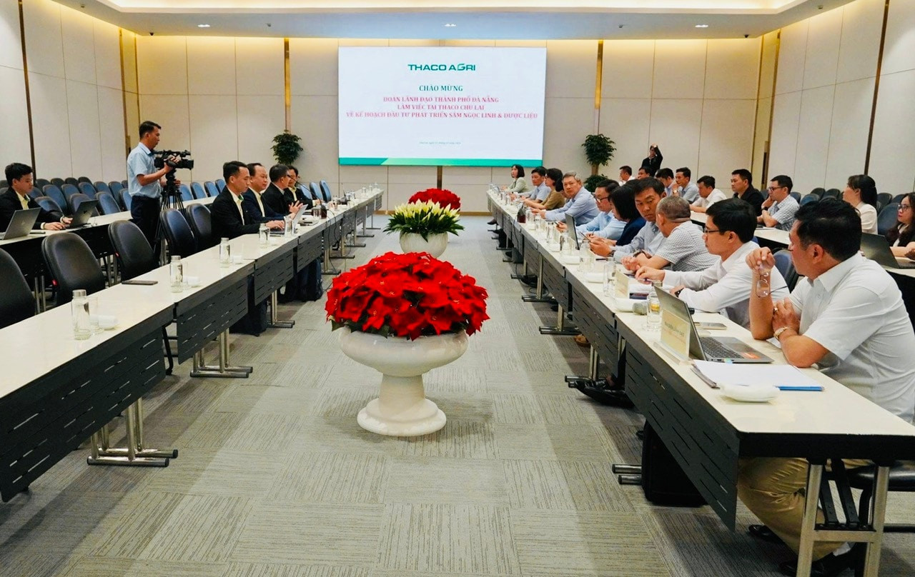 quang-canh-buoi-lam-viec.-anh-xuan-hieu.jpg