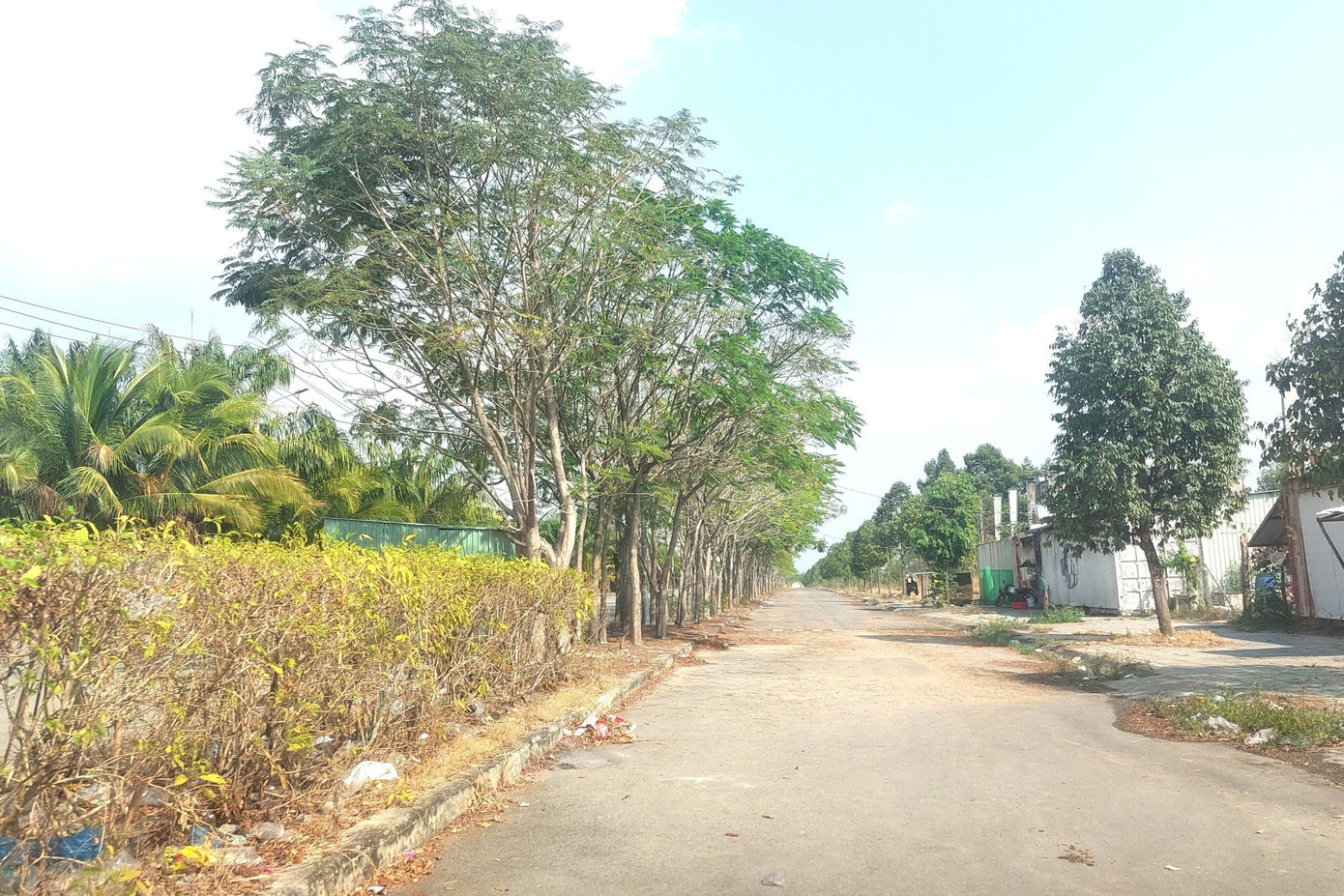 Dự án khu dân cư Đại Nam rộng gần 100 ha. Trong các năm 2019, 2020, UBND tỉnh Bình Phước (cũ) đã có quyết định (3 đợt) chấp thuận cho chủ đầu tư chuyển nhượng quyền sử dụng đất đã được đầu tư hạ tầng kỹ thuật cho người sử dụng đất tự xây dựng nhà ở. Tổng số nền đất được phép chuyển nhượng gần 2.500 nền và đã được phép mở bán. dai-nam-13.jpg