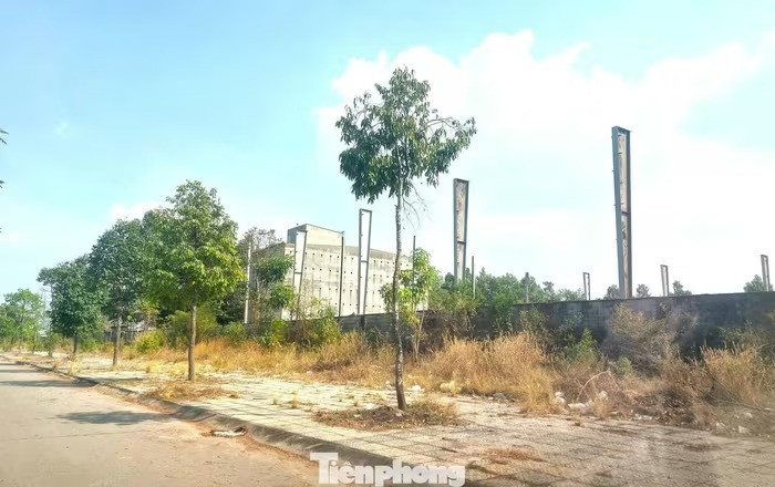 Dự án từng được kỳ vọng là ‘mỏ vàng’ của vợ chồng bà Nguyễn Phương Hằng: Nhiều hạng mục xuống cấp, hoang tàn đến khó tin- Ảnh 3. Dự án từng được kỳ vọng là ‘mỏ vàng’ của vợ chồng bà Nguyễn Phương Hằng: Nhiều hạng mục xuống cấp, hoang tàn đến khó tin- Ảnh 3.