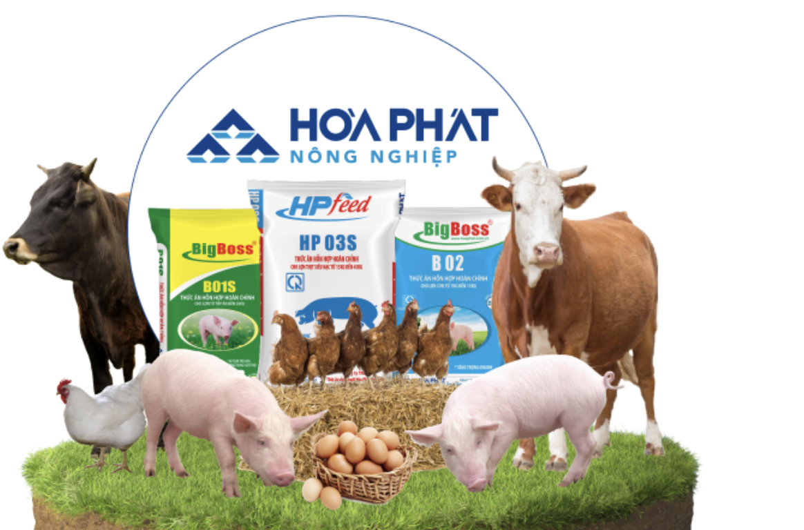 screenshot-2024-11-01-at-08.09.24 (1)