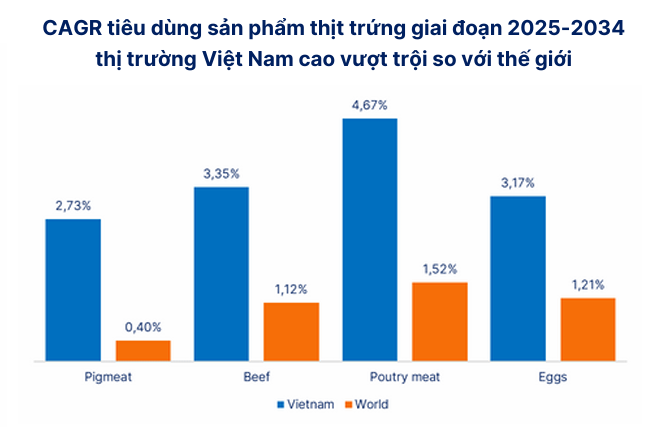 Ảnh chụp màn hình 2026-02-07 104556