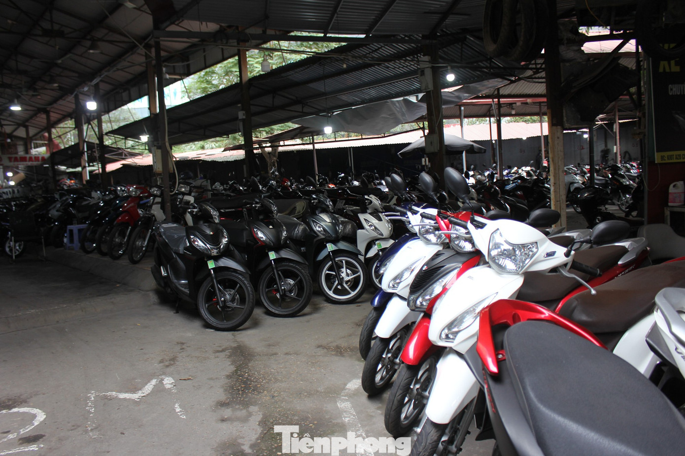 tp-thi-truong-xe-may-cu-tet-am-dam-12.png