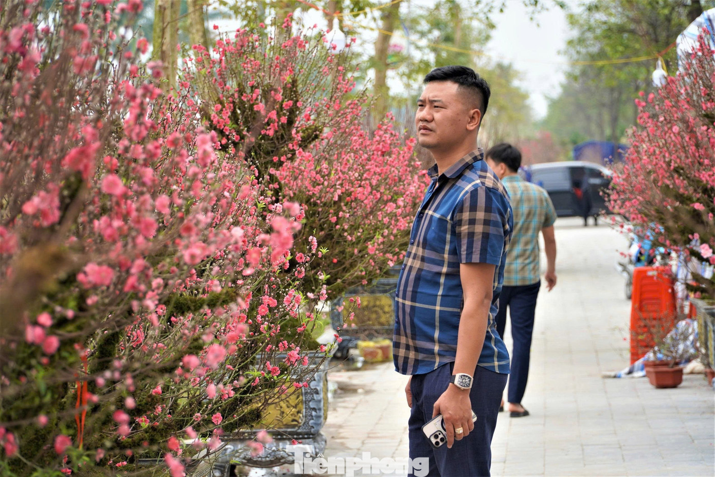 Theo ghi nhận, mỗi gốc đào phủ rêu tại Hà Tĩnh có giá từ 5-25 triệu đồng. Những cây dáng đẹp, thế độc, nhiều rêu tự nhiên có thể lên tới trên 30 triệu đồng. Dù mức giá khá cao, song nhiều gốc đào đẹp đã được khách sành chơi đặt cọc từ sớm. tp-dao-kjhss.jpg