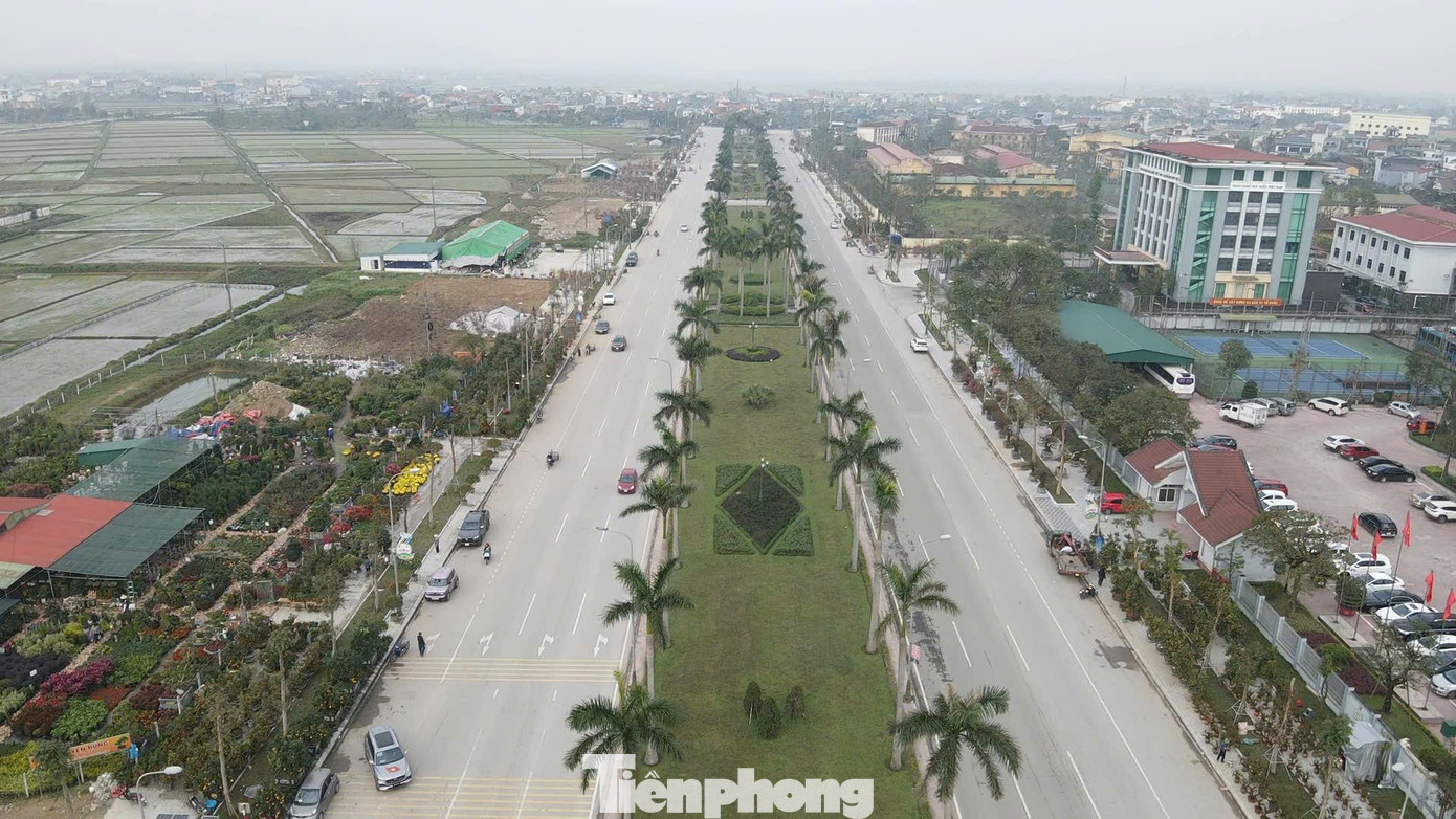 Những ngày cận Tết, tại một số điểm bán hoa, cây cảnh lớn và các tuyến đường trung tâm phường Thành Sen, phường Trần Phú, tỉnh Hà Tĩnh, hàng chục gốc đào dáng thế độc lạ, gốc mai kích thước lớn được tiểu thương đưa về bày bán. tp-hoai-kk.jpg