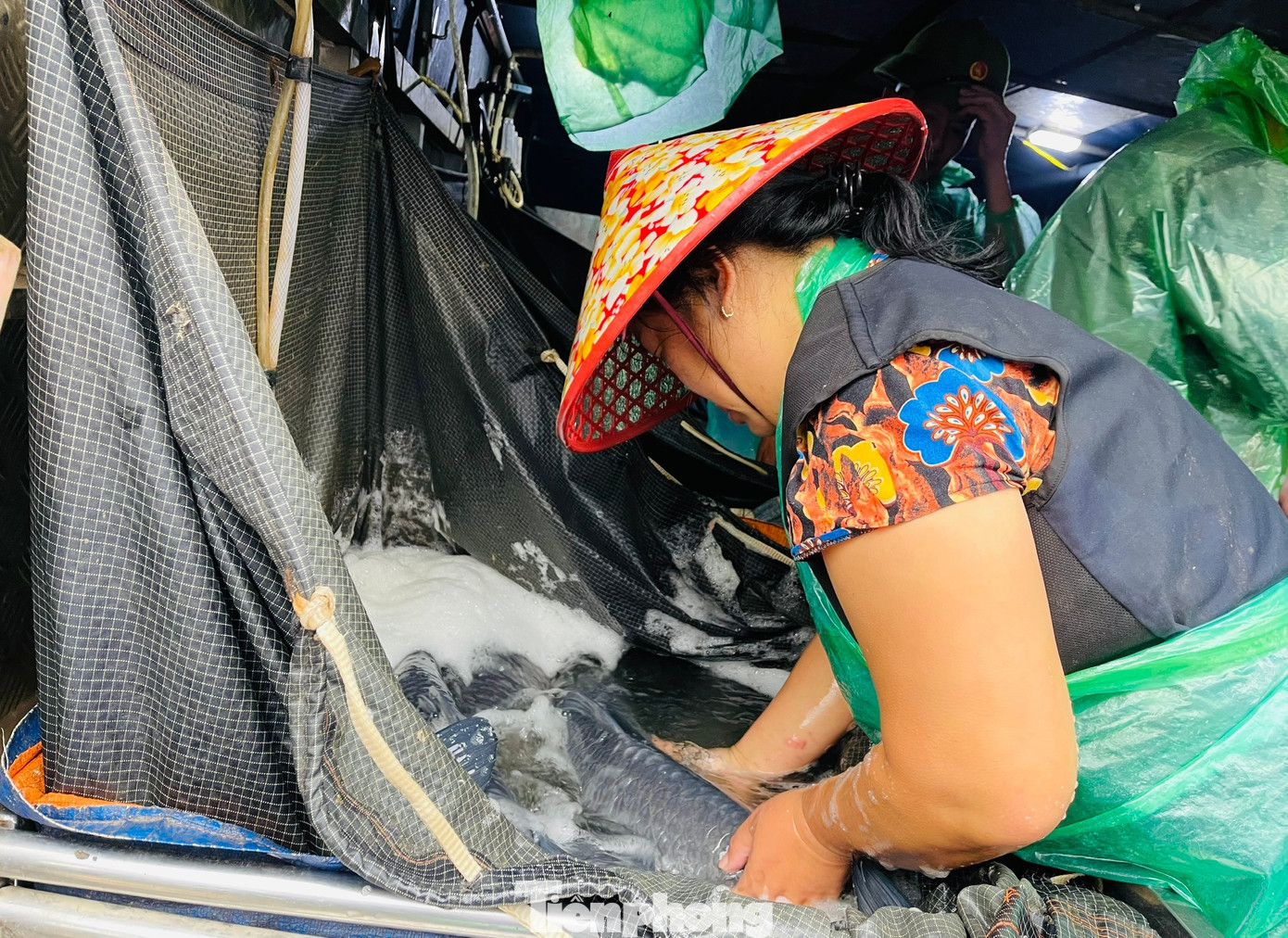 Anh Vương (46 tuổi) và chị Chung (55 tuổi) là những tiểu thương kinh doanh lâu năm tại chợ cá Yên Sở đều cho rằng năm nay dân buôn bán đang phải cố gắng cầm cự qua Tết. Cũng theo hai tiểu thương này, không chỉ cá ông Công ông Táo mà các loại cá phục vụ Tết khác cũng đều trong tình trạng ế ẩm. tp-ca-ong-cong-ong-tao-5.jpg