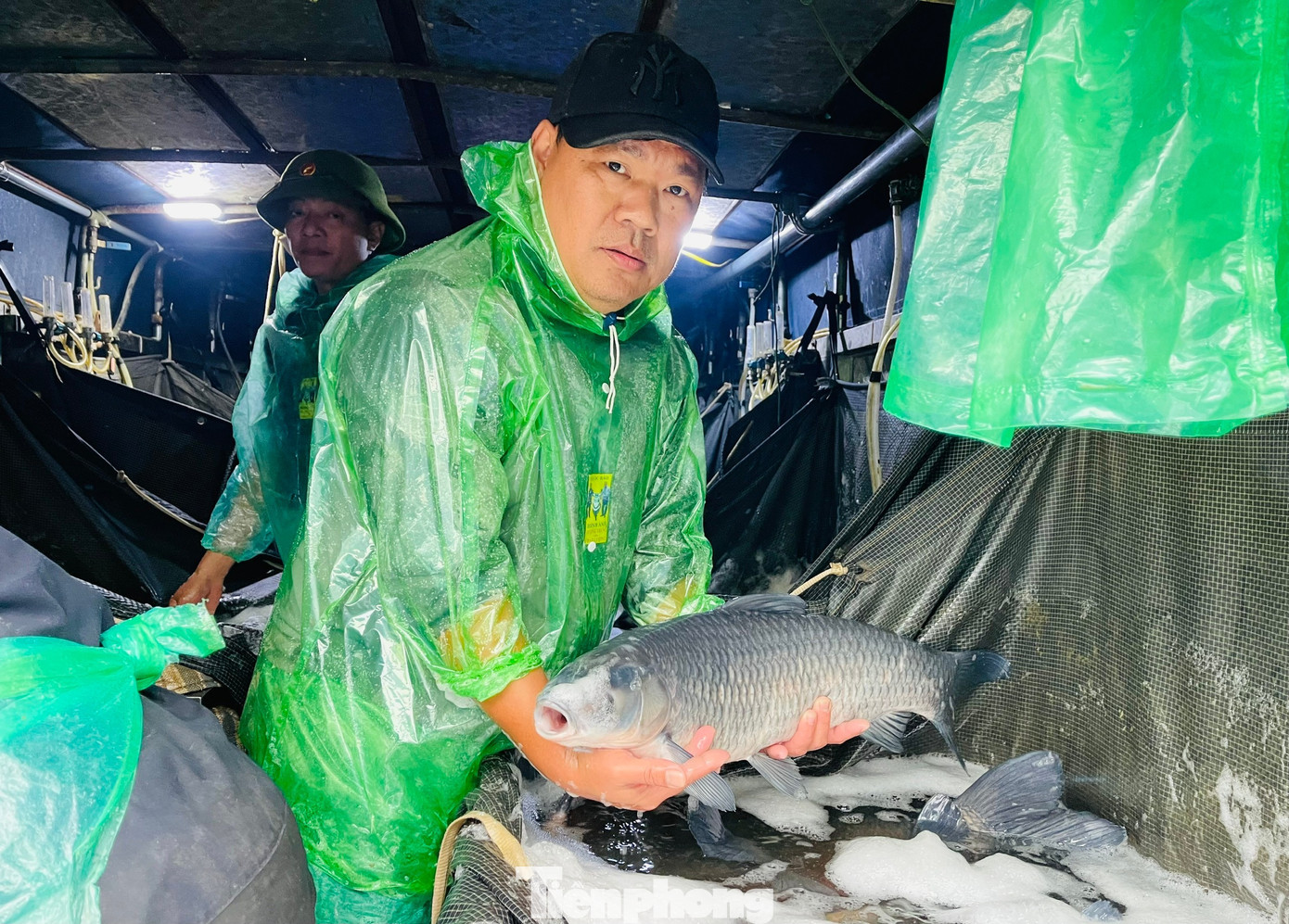 Anh Vương so sánh, mọi năm các loại cá phục vụ Tết như trắm cỏ giá 90.000 đồng/kg, năm nay giảm xuống còn 55.000 đồng/kg (đối với loại cá lớn 7kg/con) nhưng vẫn không có người mua. tp-ca-ong-cong-ong-tao-10.jpg