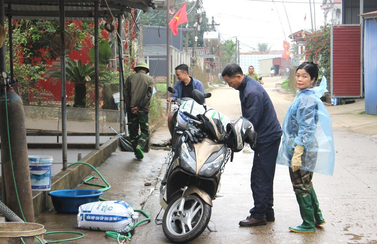 a9.jpg