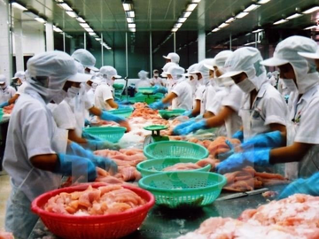 Bán gần hết danh mục cổ phiếu, Vĩnh Hoàn (VHC) ôm hàng trăm tỷ đi đầu tư bất động sản, biên lãi gộp gần 60%