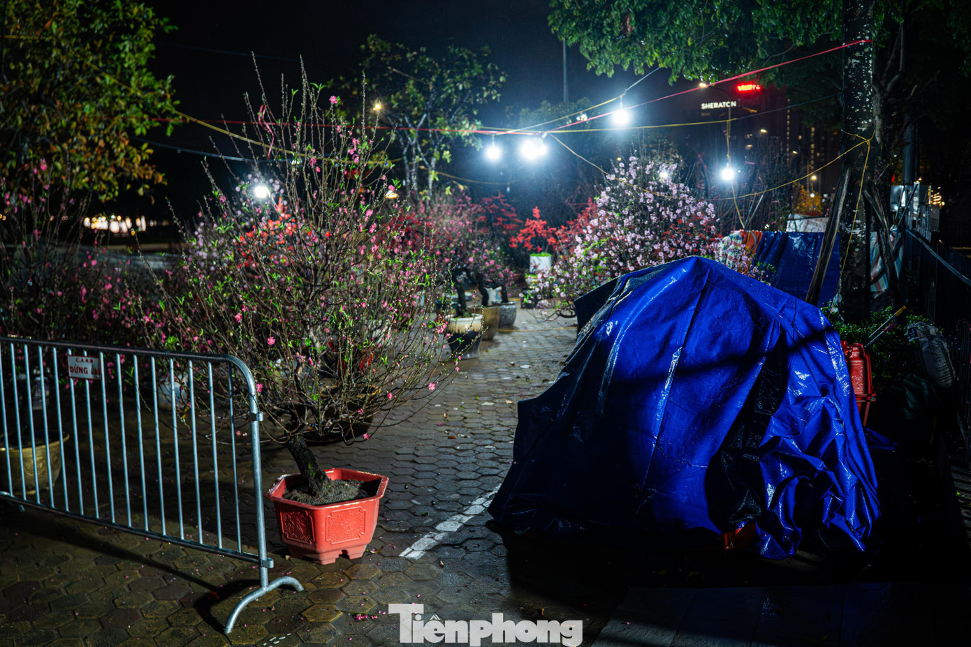 tp-baotienphong-259.jpg