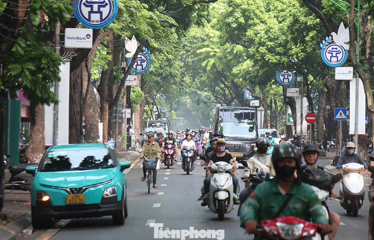 tp-taxi-dien.png