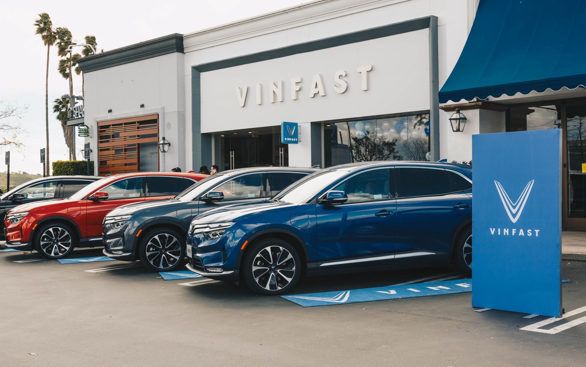 vf8-vneconomyautomotive.jpg