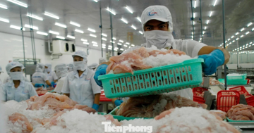 Lo rủi ro logistics, một số doanh nghiệp thủy sản tạm dừng xuất khẩu Trung Đông