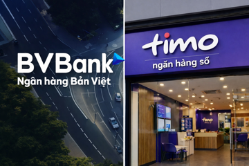 Timo rục rịch đổi chủ, BVBank còn lại gì trong bài toán sinh lời?